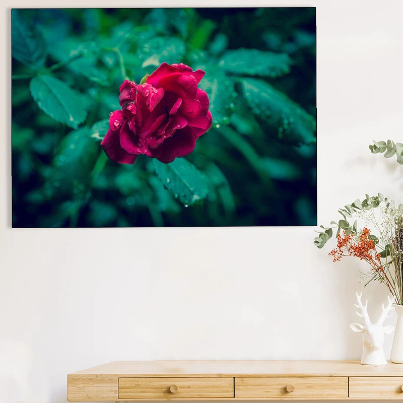 تابلو شاسی گالری استاربوی طرح گل مدل Amazing 375