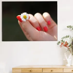 Starboy Gallery Amazing 380 Flower Tableau