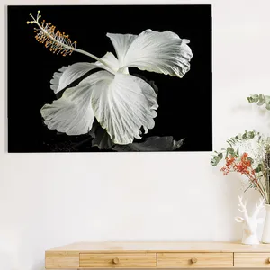 Starboy Gallery Amazing 397 Flower Tableau