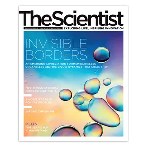 مجله The Scientist دسامبر 2018