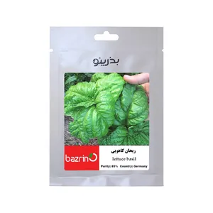 بذر ریحان کاهویی آلمانی گلدانی بذرینو کد BZNO-288