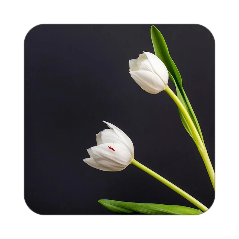 زیر لیوانی کاکتی طرح گل مدل mp18783