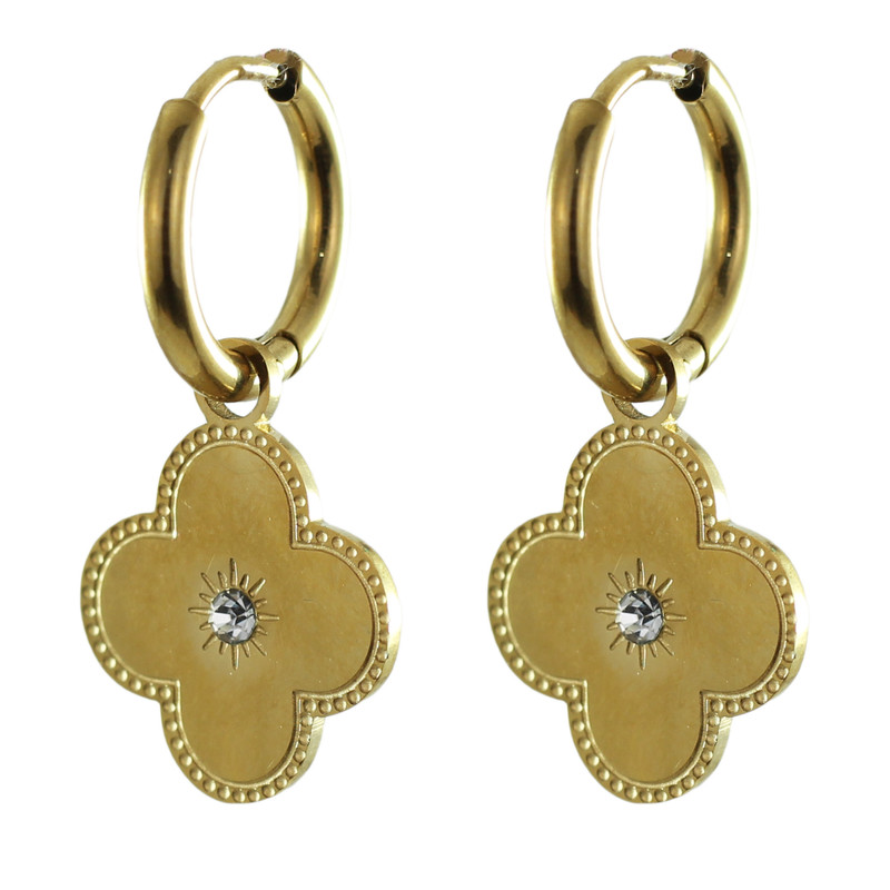 گوشواره زنانه مدل ساتین کد AAC-226
