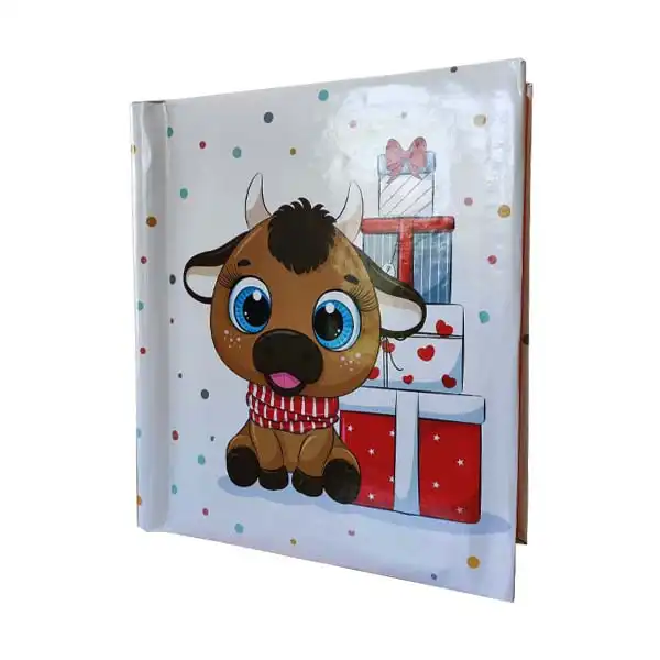 آلبوم عکس مدل h8o