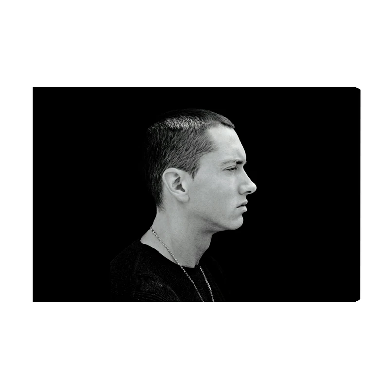 تابلو شاسی طرح Eminem مدل AS435