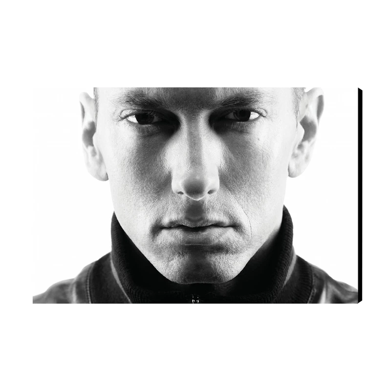 تابلو شاسی طرح Eminem مدل AS437