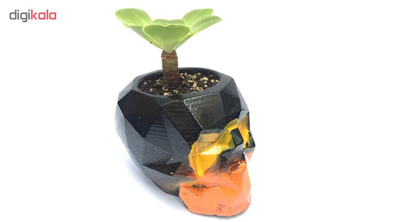 گلدان بتني مدل اسكال فيس