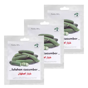 بذر خیار اصفهان گرین فارم کد 008 بسته 3 عددی