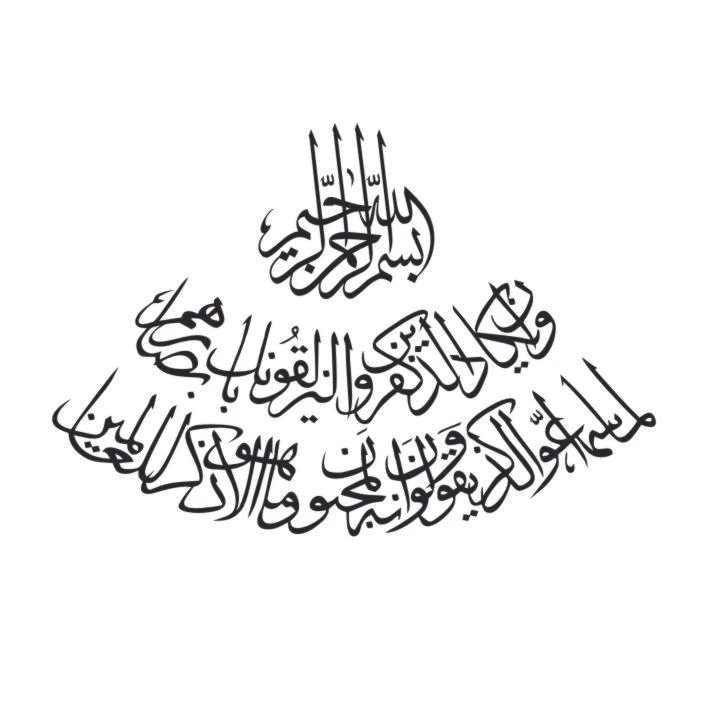 برچسب بدنه خودرو طرح نوین گراف مدل وان یکاد کد vn9