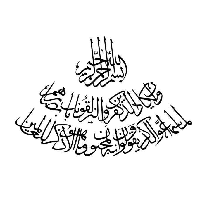 برچسب بدنه خودرو طرح نوین گراف مدل وان یکاد کد vn9