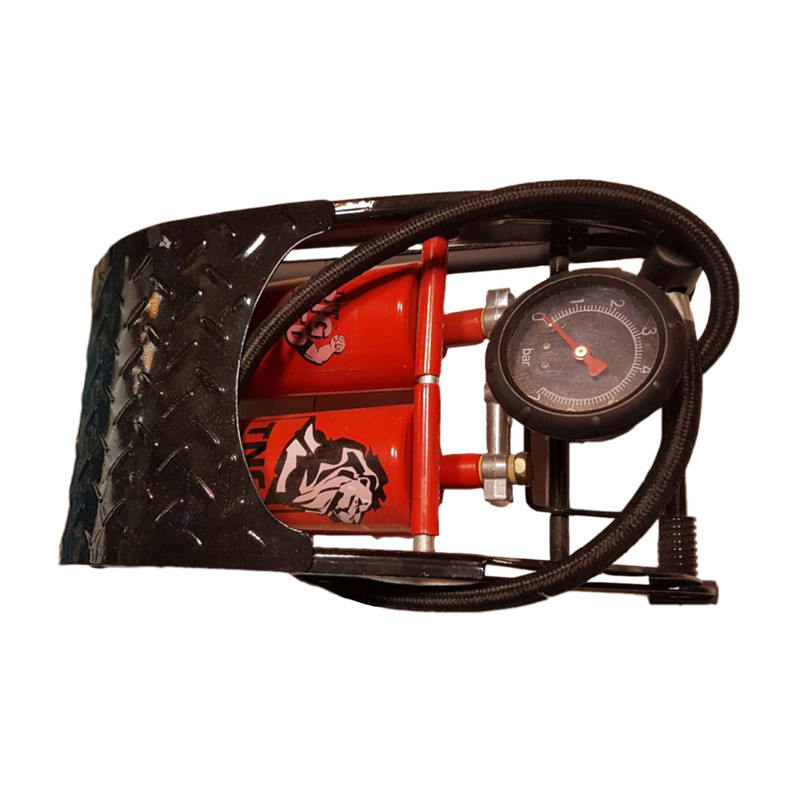 پمپ باد دو سیلندر بیگ رد مدل FP104