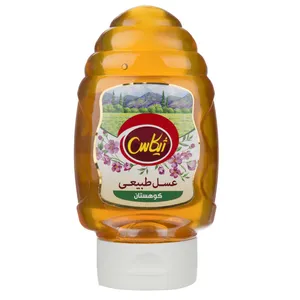 عسل طبیعی کوهستان ژیکاس - 400 گرم