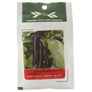 بذر بادمجان مشکی قلمی ژاپنی وانیا سید کد B17