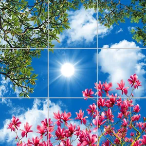 تایل سقفی مدل AY33017 سایز 60*60 مجموعه 9 عددی
