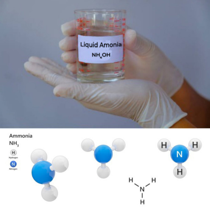 آمونیاک مایع رفرنس کمیکالز مدل آمونیوم هیدروکسید حجم 1000 میلی لیتر