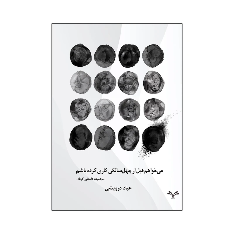 کتاب می خواهم قبل از چهل سالگی کاری کرده باشم اثر عباد درویشی انتشارات نامه مهر