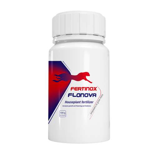 کود پودری گیاهان آپارتمانی فرتینوکس مدل فلانوا وزن 100 گرم