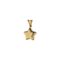 آویز گردنبند طلا 18 عیار زنانه مایا ماهک مدل MM1533 طرح ستاره 3 بعدی