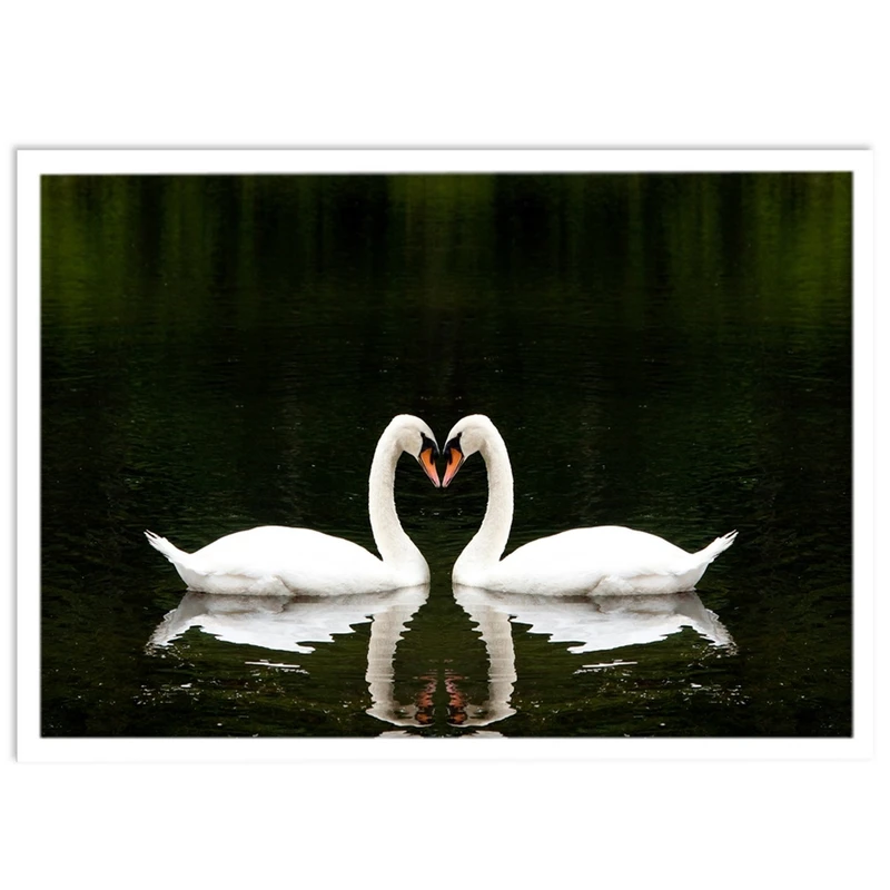 تابلو نوری بکلیت طرح طبیعت و عاشقانه قو مدل W-S355