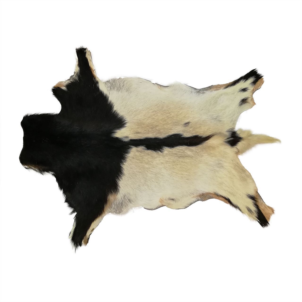 فرش پوست و چرم کمالی مدل AC-00276