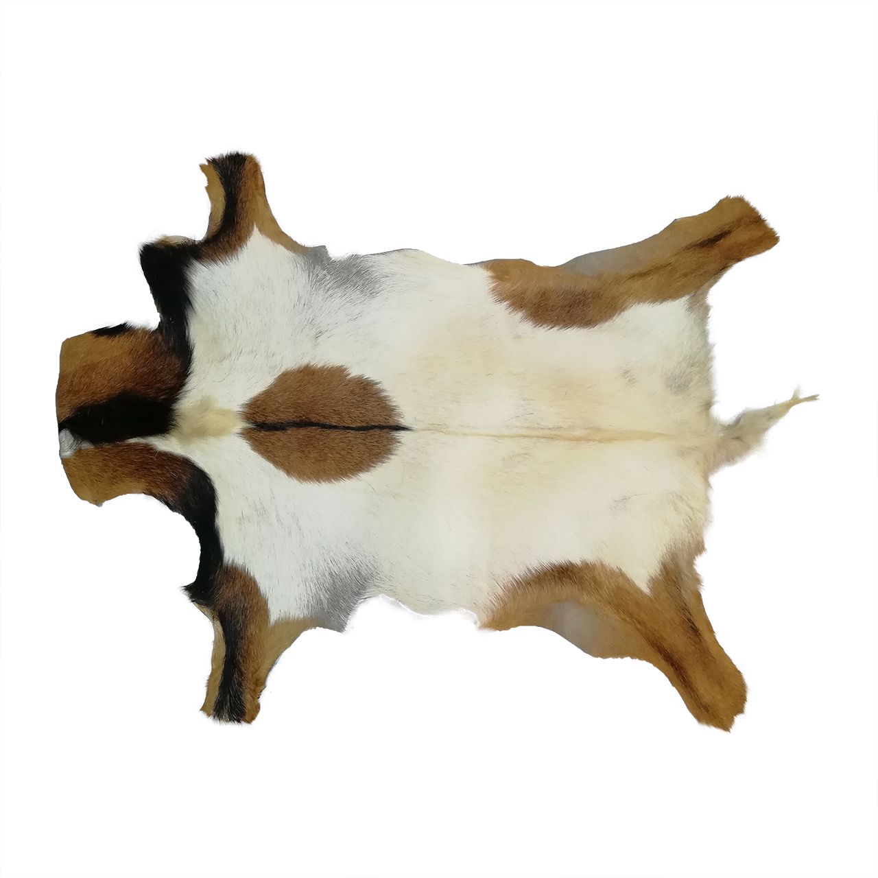 فرش پوست و چرم کمالی مدل AC-00280