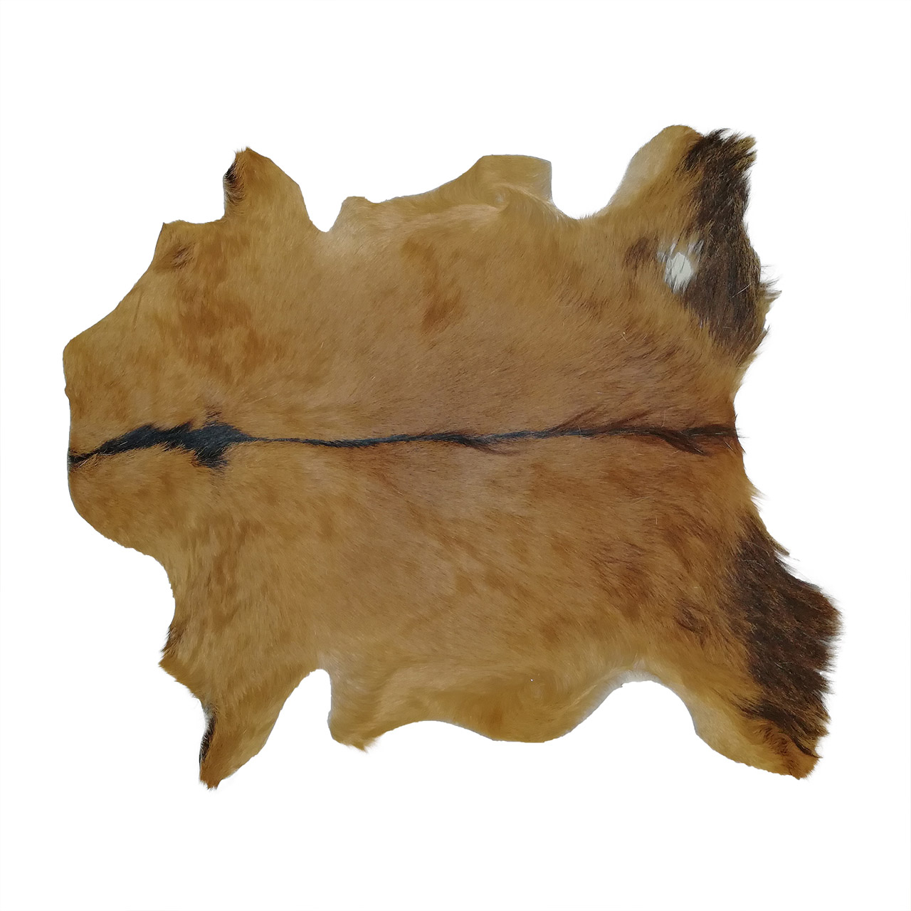 فرش پوست و چرم کمالی مدل AC-00284