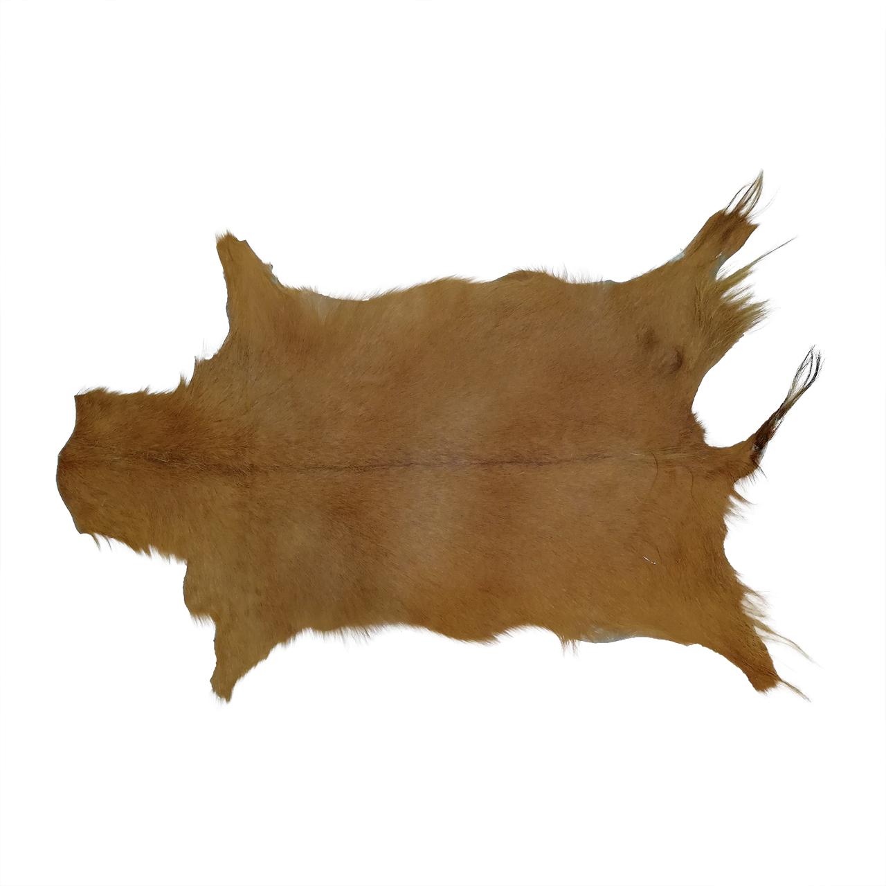 فرش پوست و چرم کمالی مدل AC-00293