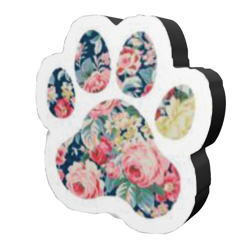 پیکسل مدل Cat02 پیکسل مدل Cat02