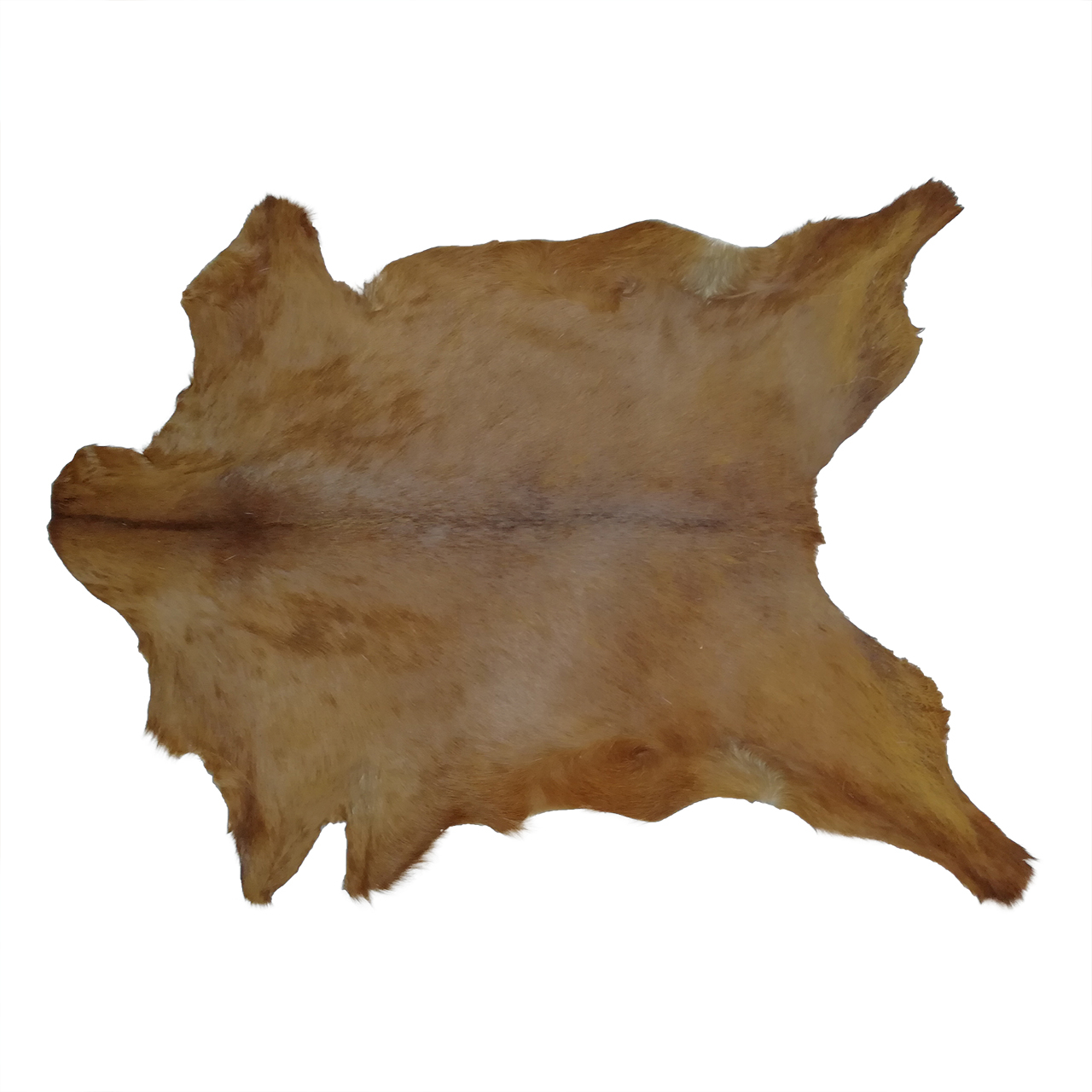 فرش پوست و چرم کمالی مدل AC-00297