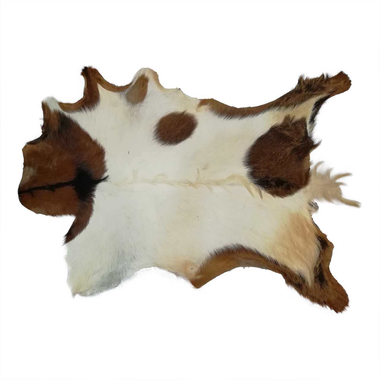 فرش پوست و چرم کمالی مدل AC-00298