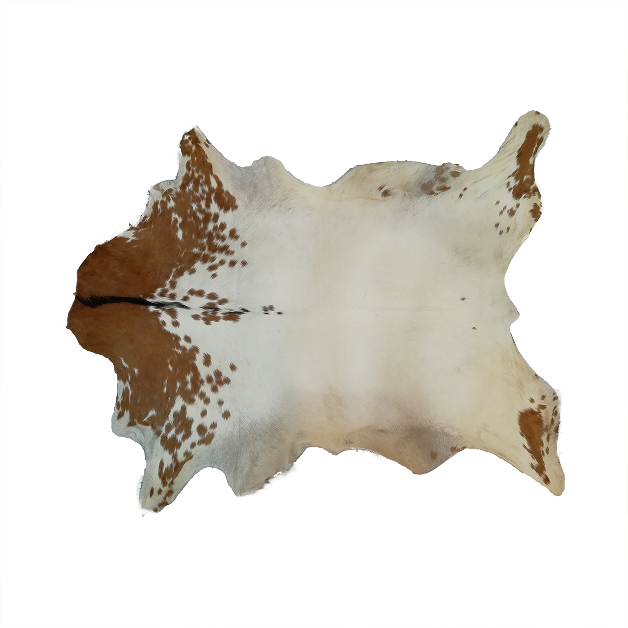 فرش پوست و چرم کمالی مدل AC-00299