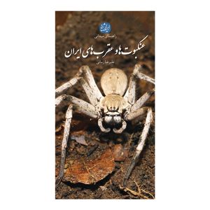کتاب عنکبوت ها و عقرب های ایران اثر علیرضا زمانی انتشارات ایرانشناسی