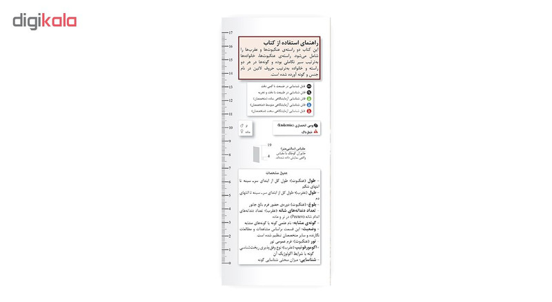 کتاب عنکبوت ها و عقرب های ایران اثر علیرضا زمانی انتشارات ایرانشناسی کتاب عنکبوت ها و عقرب های ایران اثر علیرضا زمانی انتشارات ایرانشناسی