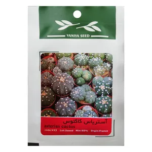 بذر کاکتوس آستریاس وانیا سید مدل V23