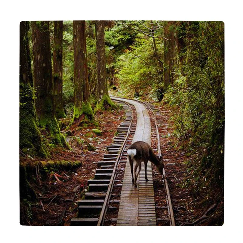  زیر لیوانی طرح آهو روی ریل قطار کد    4069407_2684