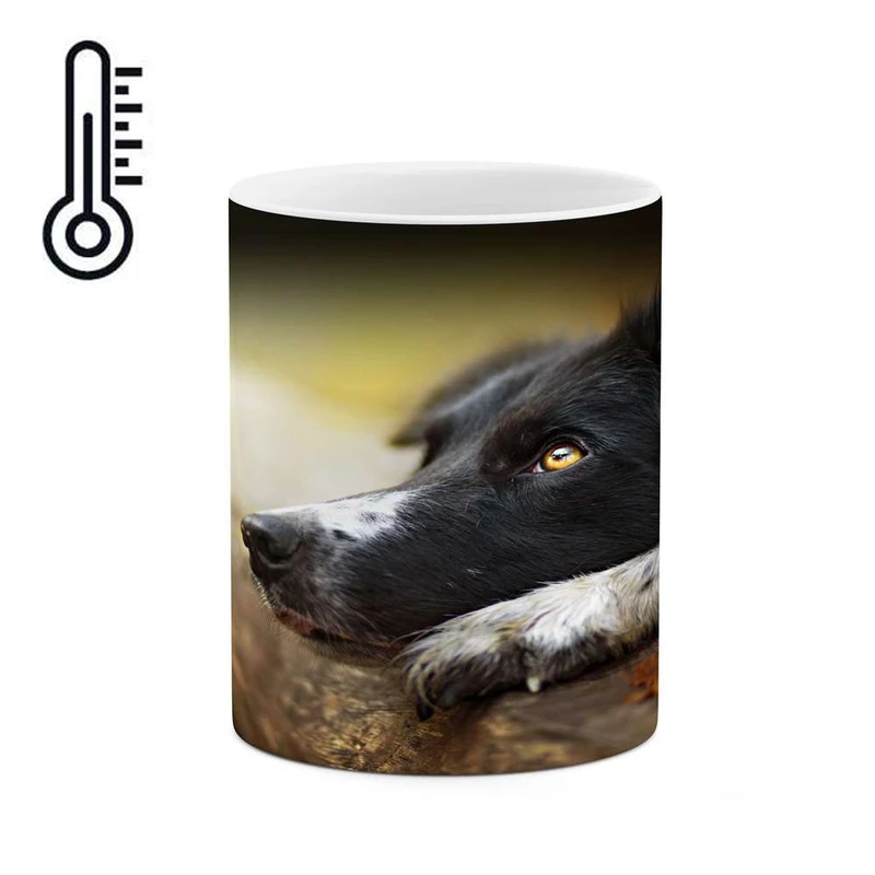 ماگ حرارتی کاکتی مدل سگ کد mgh17218