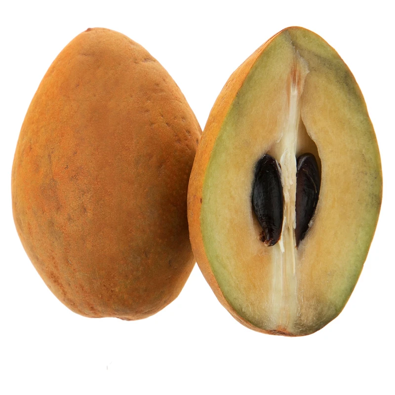 ساپودیلا (یک عدد)