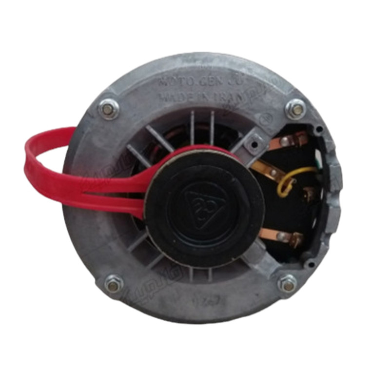 الکتروموتور کولری موتوژن مدل یک سوم بدون خازن کد SP 56-4.6-D01