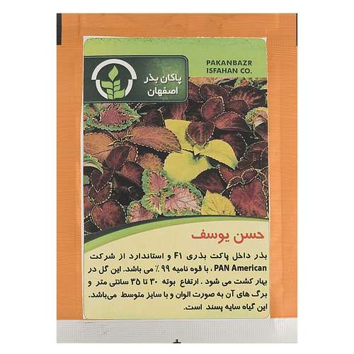 بذر حسن یوسف را از کجا تهیه کنیم؟
