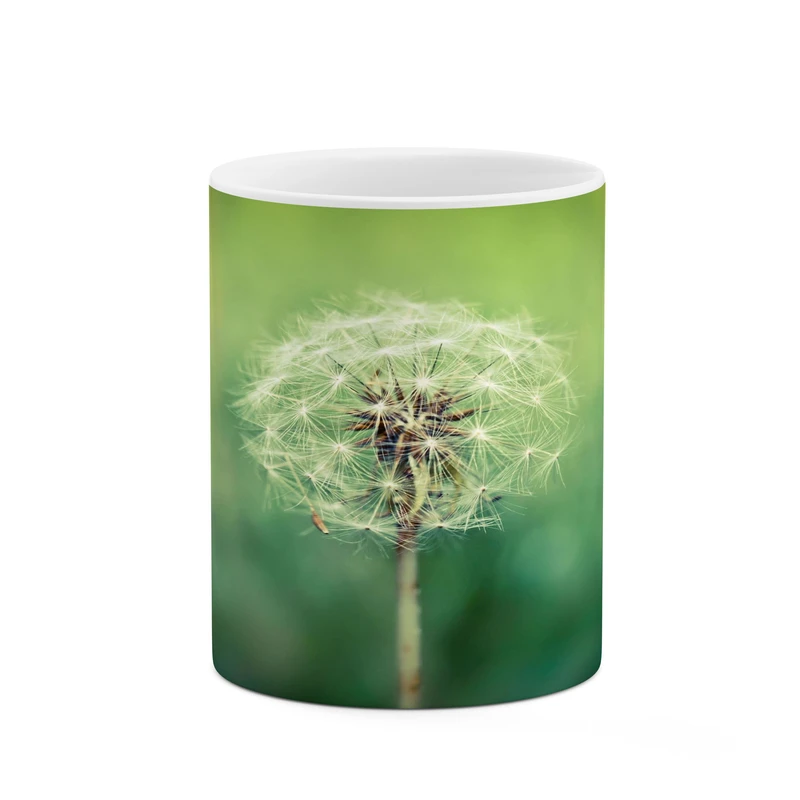 ماگ کاکتی مدل قادک کد mgh17294