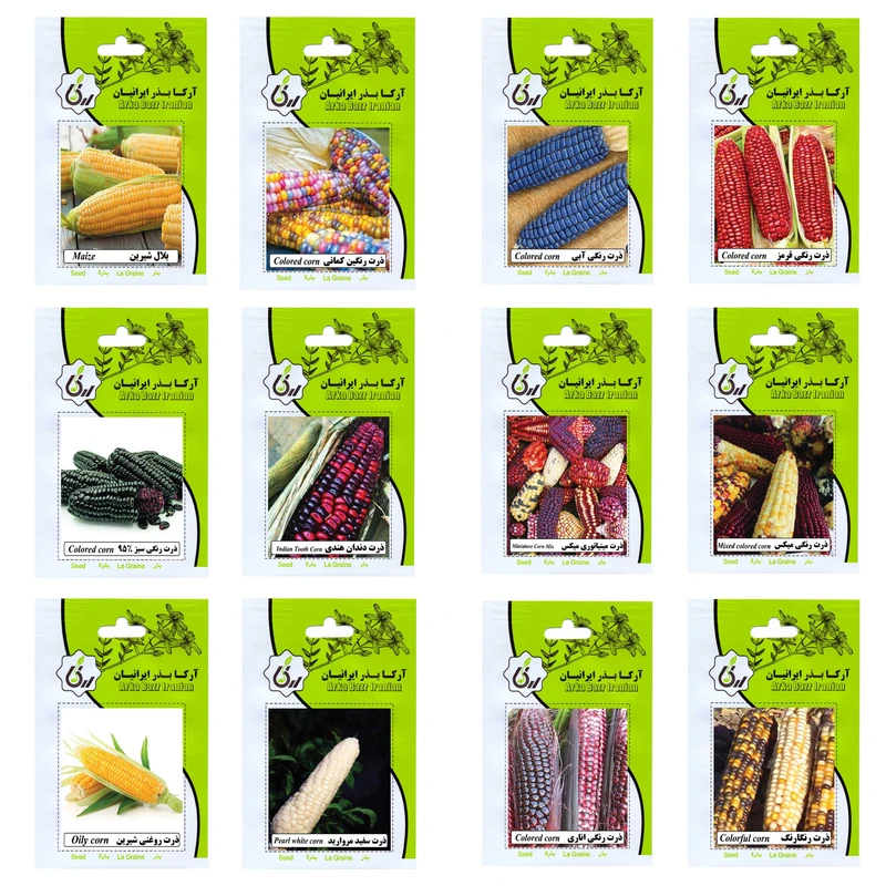 بذر ذرت همه رنگ آرکا بذر ایرانیان کد ARK-A-ARK-012 وزن 200 گرم مجموعه 12 عددی