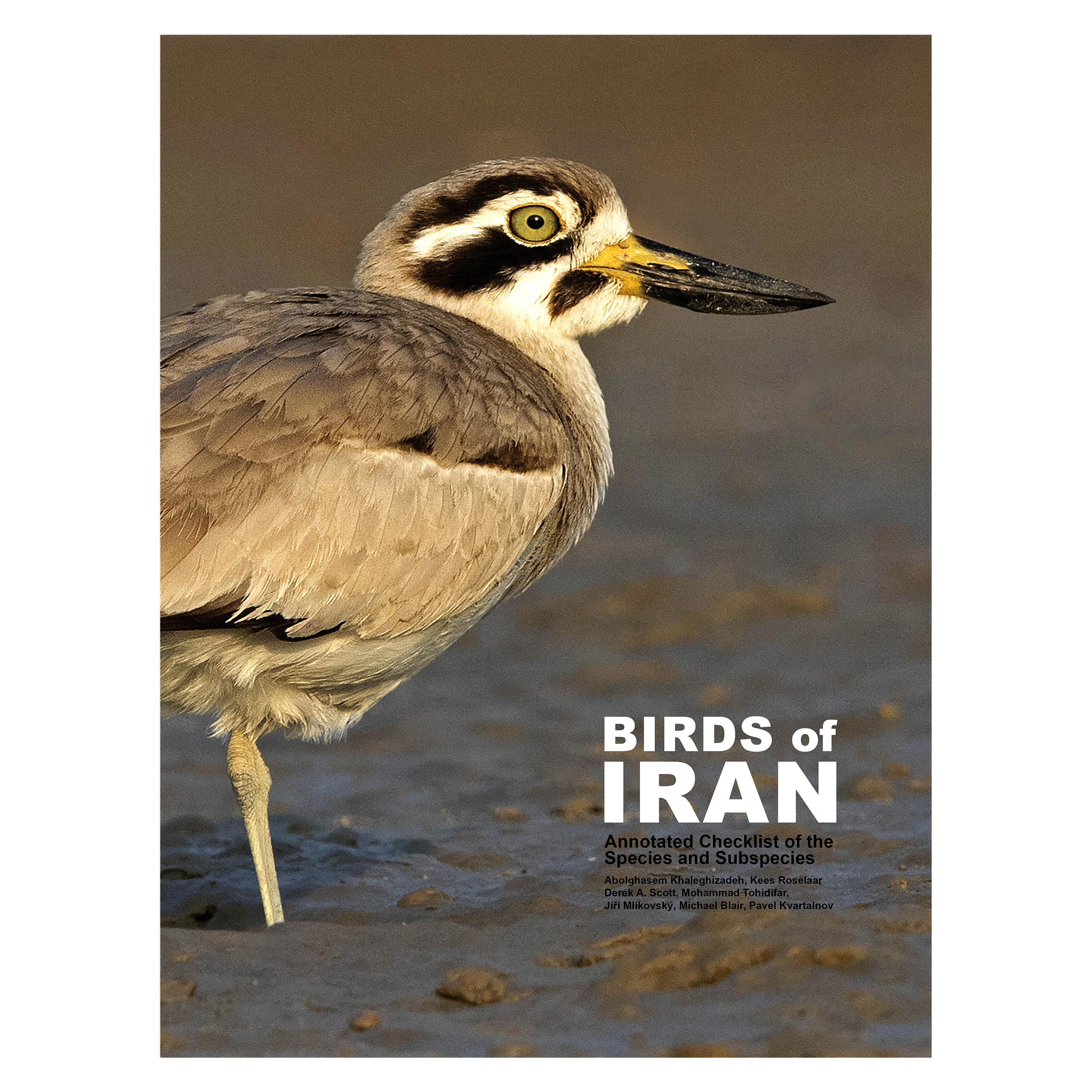 کتاب Birds Of Iran اثر محمد توحیدی‌فر انتشارات ایرانشناسی