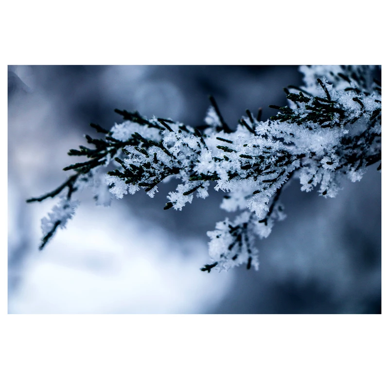 فرش پارچه‌ای مدل فرشینه طرح زمستان برفی کد AR3060304