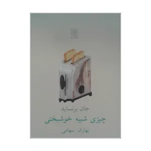 کتاب چیزی شبیه خوشبختی اثر جان برنساید انتشارات نیلا