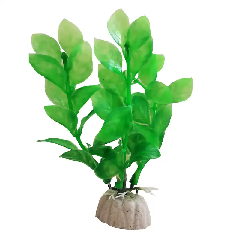 گیاه تزیینی آکواریوم کد 03