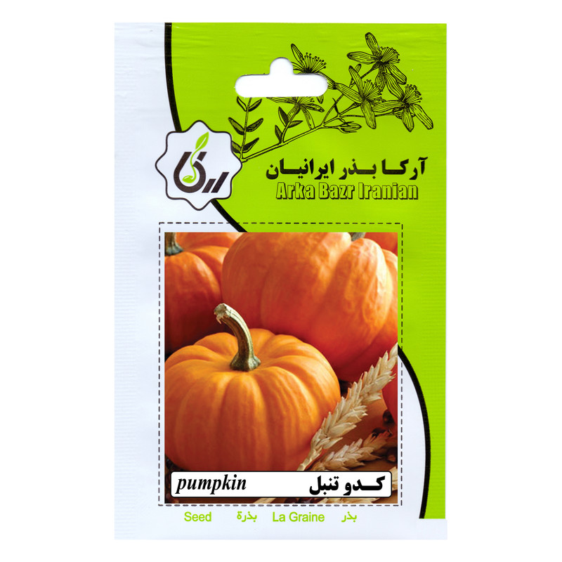 بذر کدو تنبل آرکا بذر ایرانیان کد ARK-158