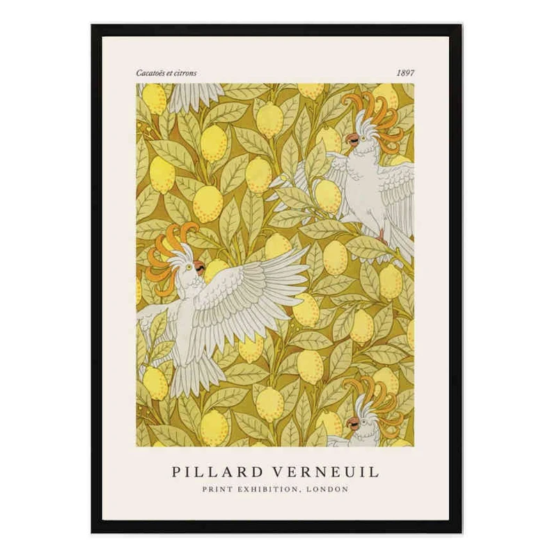 تابلو مدل Cacatoes کد 248901840