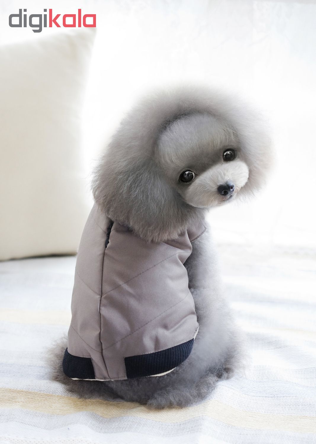 لباس سگ مدل over coat 1 کد 1 سایز L
