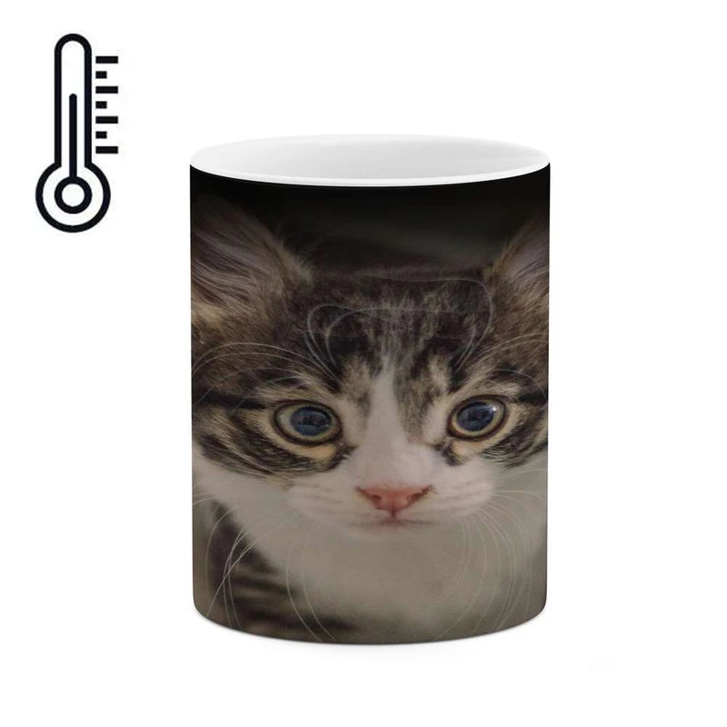 ماگ حرارتی کاکتی مدل گربه کد mgh15824