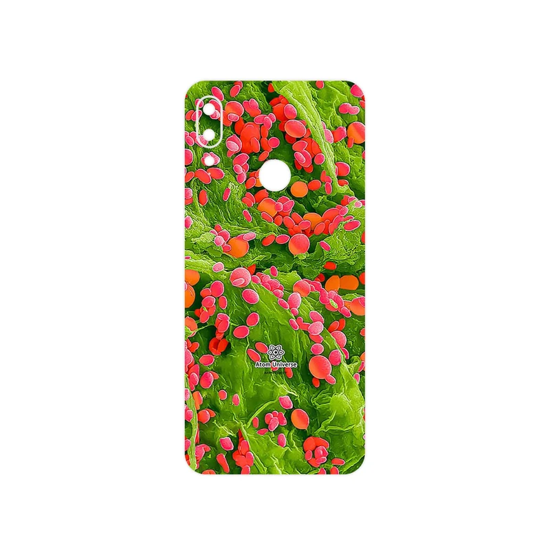 برچسب پوششی ماهوت مدل Atom Universe 3 مناسب برای گوشی موبایل موتورولا Moto E6 Plus